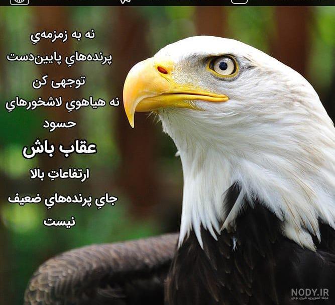 عکس نوشته انگیزشی [۴۰ عکس، متن و جملات انگیزشی خاص]