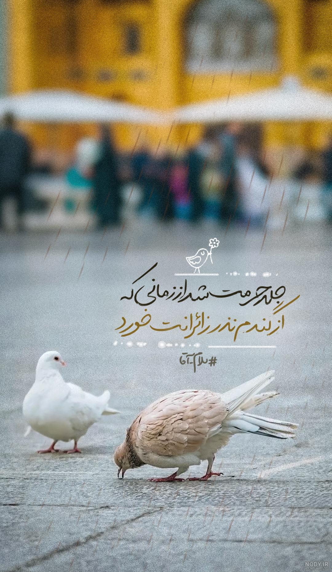 عکس نوشته رفتن به زیارت امام رضا
