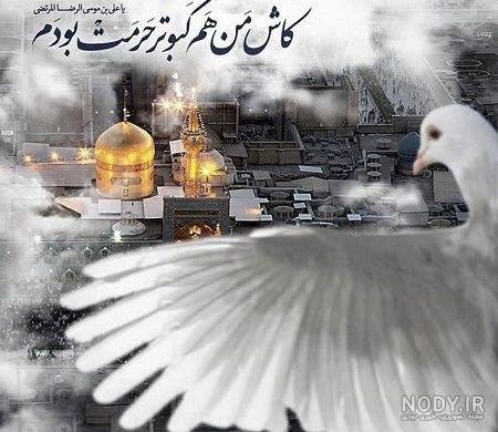 عکس نوشته ولادت امام رضا (ع) با متن های زیبا