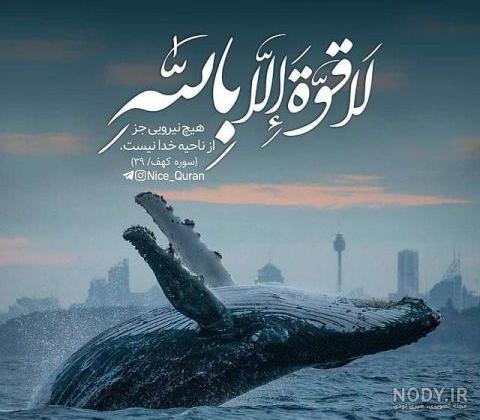 عکس پروفایل ماشاءالله + مجموعه عکس ماشاءالله برای پروفایل | پروفایل گرام