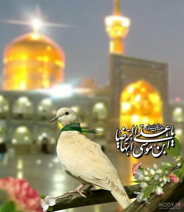 چهارشنبه های امام رضایی :: حوالی خدا