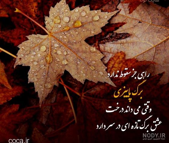 80 استوری پاییز | عکس نوشته پاییزی عاشقانه و غمگین برای استوری - دلبرانه