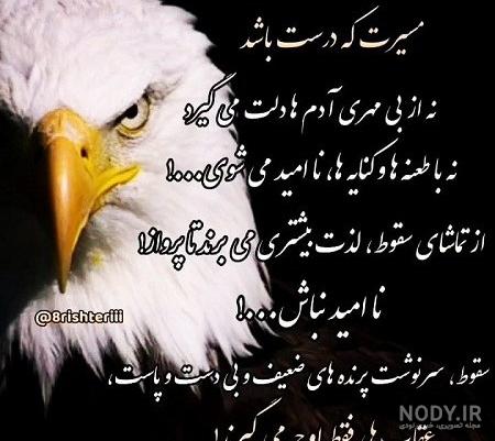 عکس عقاب با نوشته - عکس نودی