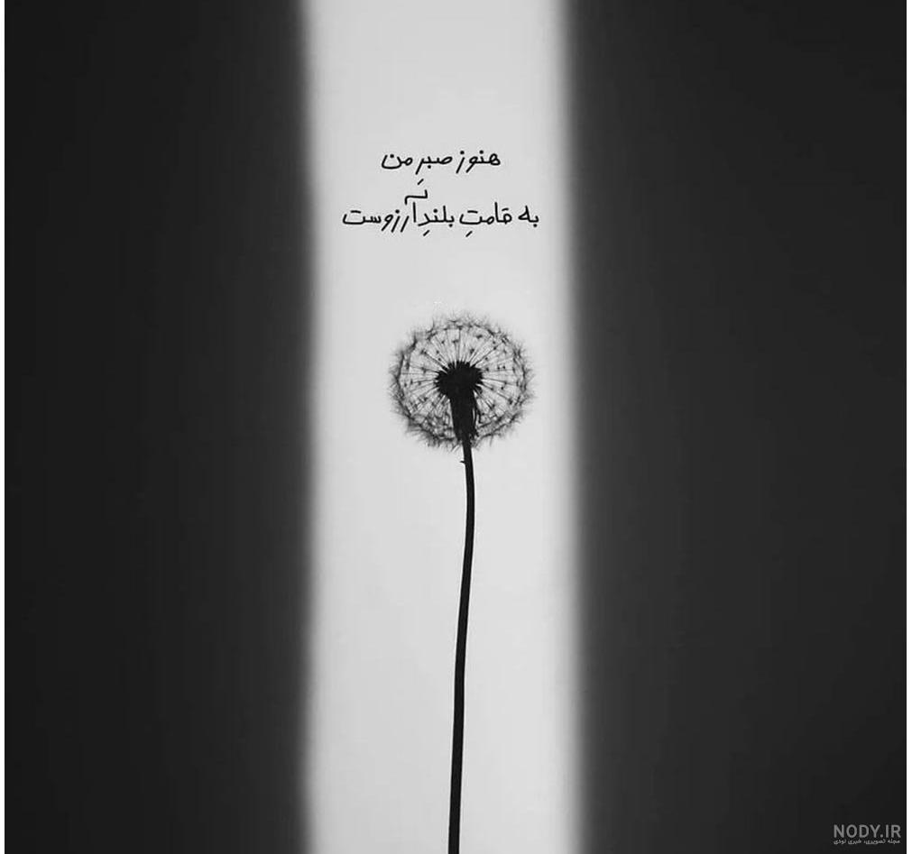عکس نوشته تنهام خدایا