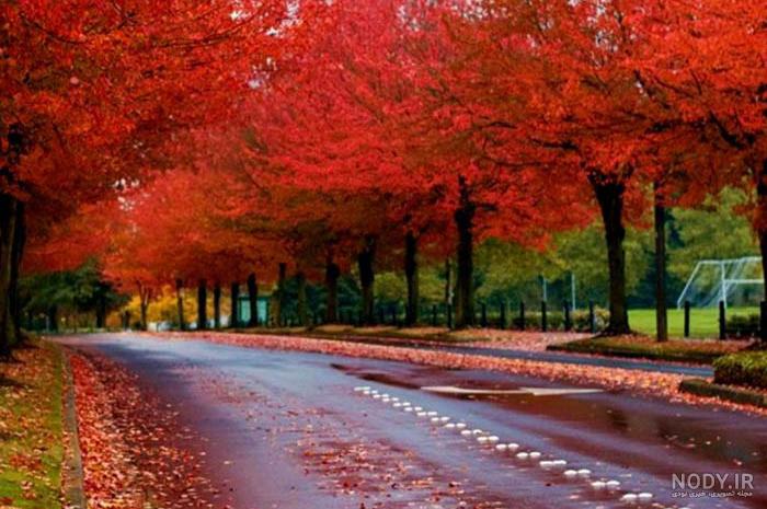 عکس نوشته عاشقانه پاییزی