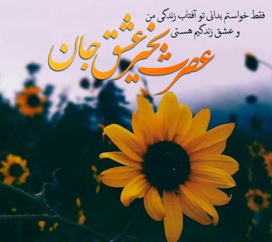 عکس نوشته عصر بارانی - عکس نودی عکس نوشته عصر بارانی - عکس نودی