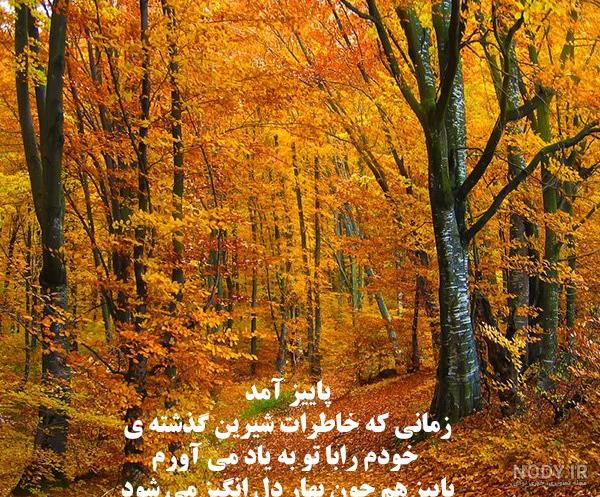 عکس نوشته عصر بخیر پاییزی