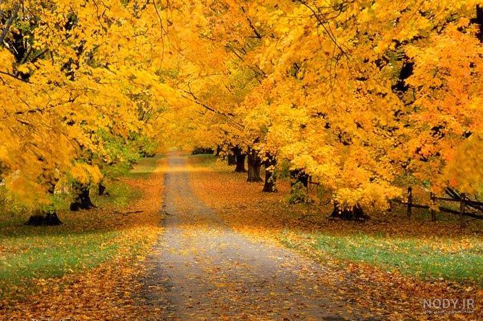 عکس نوشته پاییز