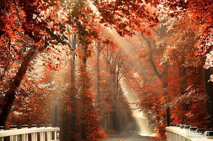 عکس نوشته پاییز غمگین عکس نوشته پاییز غمگین