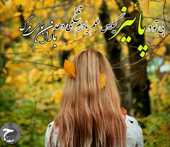 عکس پروفایل پاییز | 130 عکس نوشته + عکس بدون متن طبیعت پاییزی - دلبرانه