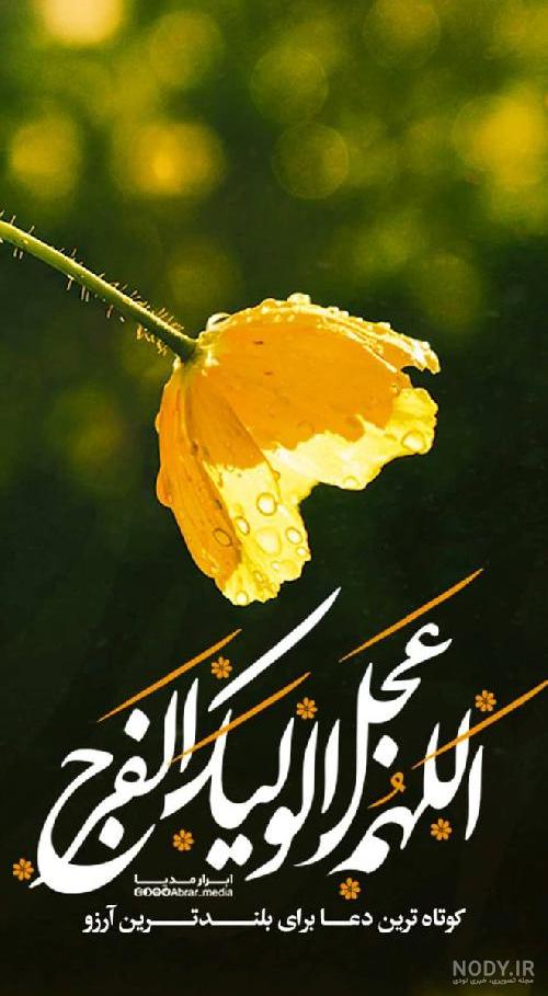 هاناخبر