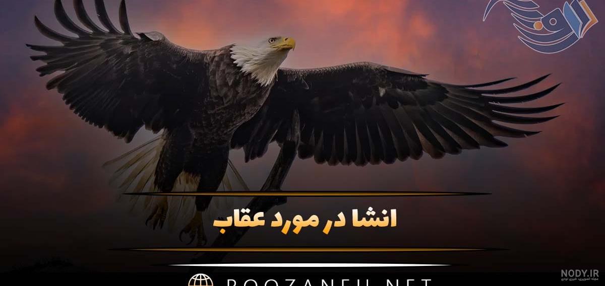 کلیپ شوتی | کلیپ خفن | کلیپ عقاب | کلیپ تنها | کلیپ غمگین | کلیپ