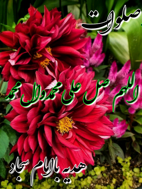 عکس نوشته ولادت امام سجاد (زین العابدین) ۱۴۰۲