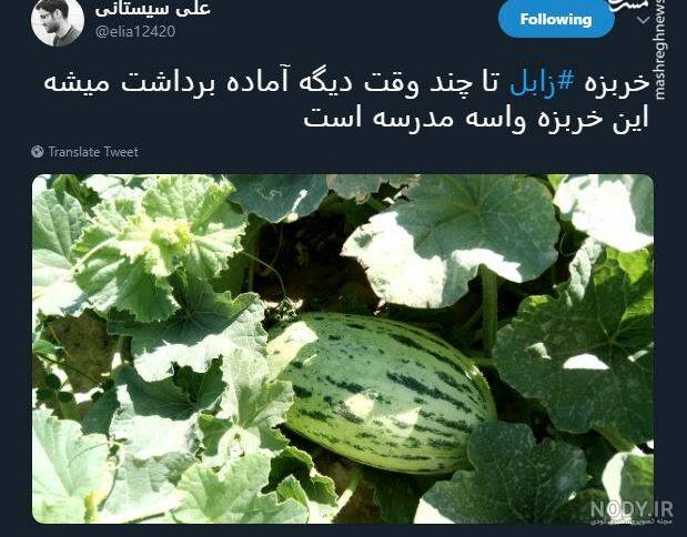زابلی در بهشت