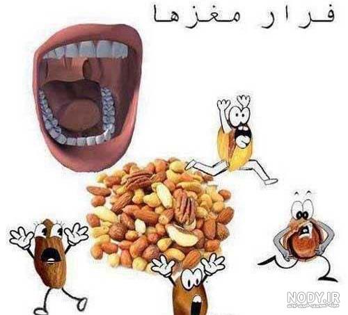 عکس جک و طنز - عکس نودی