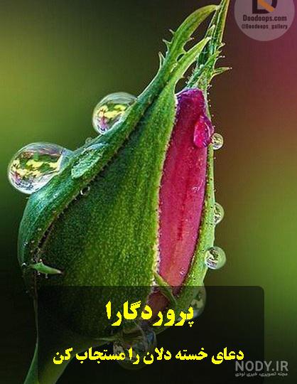 عکس و متن زیبا از خدا (18 تصویر با کیفیت بالا) - تــــــــوپ تـــــــــاپ