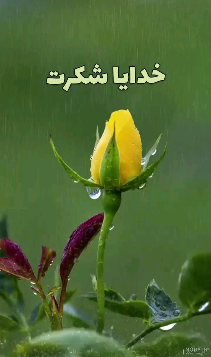 عکس پروفایل با موضوع خدا عکس پروفایل با موضوع خدا