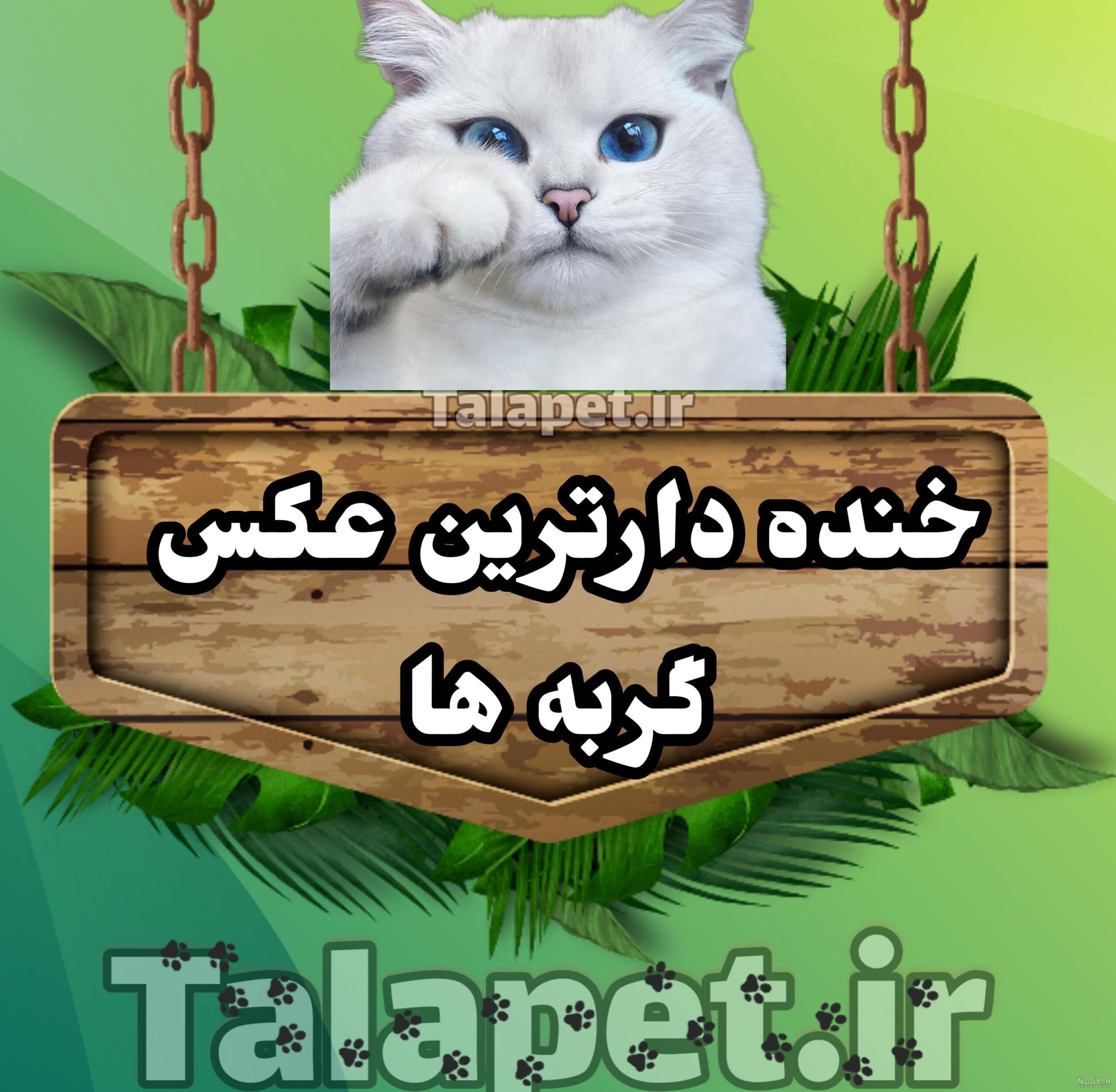 ۱۲ عکس نوشته سرماخوردگی؛ جدید و خنده دار! - ستاره