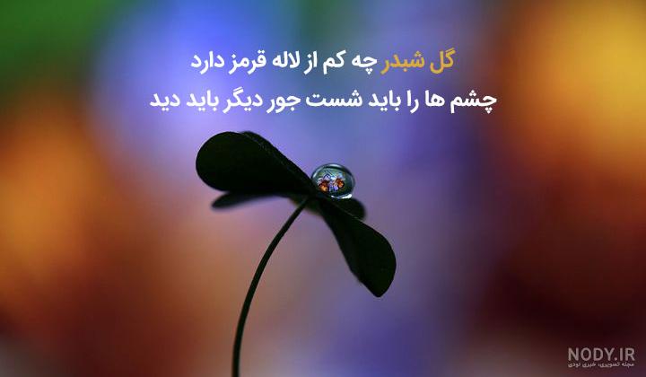 15 شعر پنج بیتی از سهراب سپهری