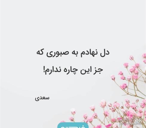 شعر سعدی