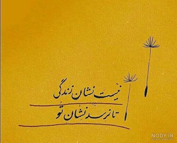 شعر مولانا در مورد دوست خوب ❤️ عکس نوشته اشعار دوست از مولوی - ماگرتا