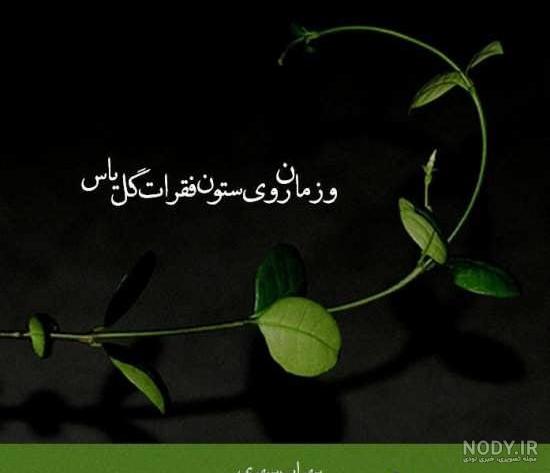 عکس های سهراب سپهری-شاعر و نقاش عکس های سهراب سپهری-شاعر و نقاش