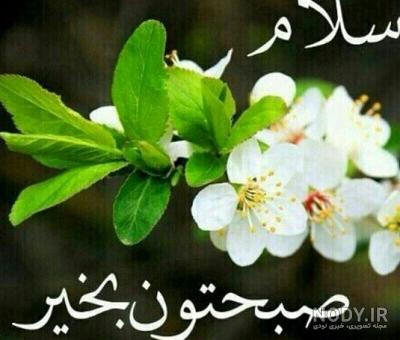 عکس نوشته زیبا در مورد سلام صبح بخیر