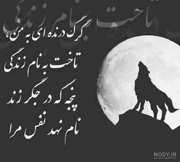 عکس نوشته شعر شهریار آمدی جانم به قربانت