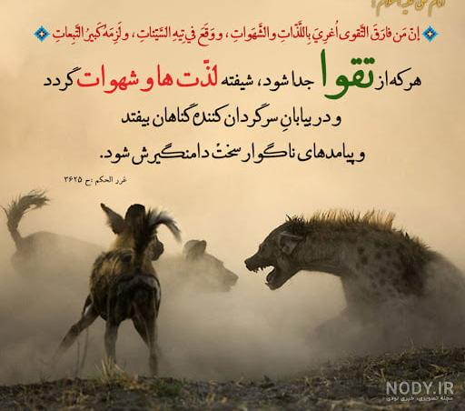 متن و شعرهای زیبا در وصف امیرالمومنین