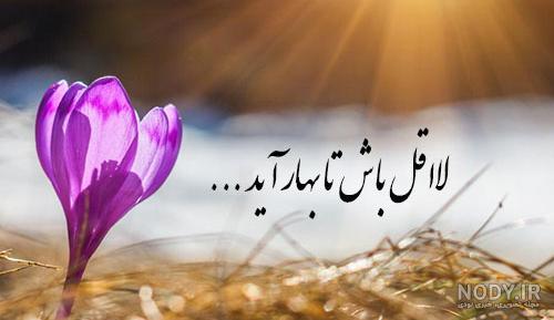 متن کامل شعر زمستان از مهدی اخوان ثالث [ شعر هوا بس ناجوانمردانه سرد است ]