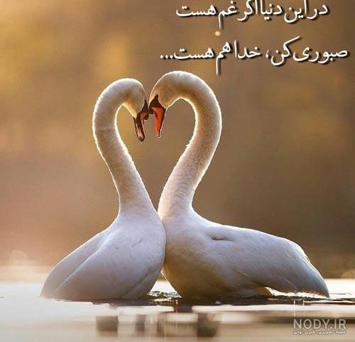 اسلام - خدایـــــــــــــــــا صبر نصیب ما کن 🏳🕋🕌 | Facebook اسلام - خدایـــــــــــــــــا صبر نصیب ما کن 🏳🕋🕌 | Facebook
