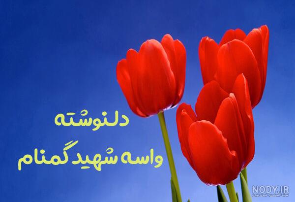 جملات و اشعار زیبا در مورد شهدا + 30 متن درباره شهید و شهادت با عکس نوشته