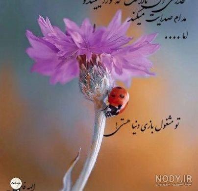 خرید و قیمت شابلون طرح نقاشی خط (جمله ی معجزه کن صبر مرا) کد Z 793 ابعاد  60*20 | ترب