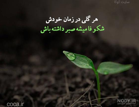 عکس نوشته صبر و تحمل - تــــــــوپ تـــــــــاپ