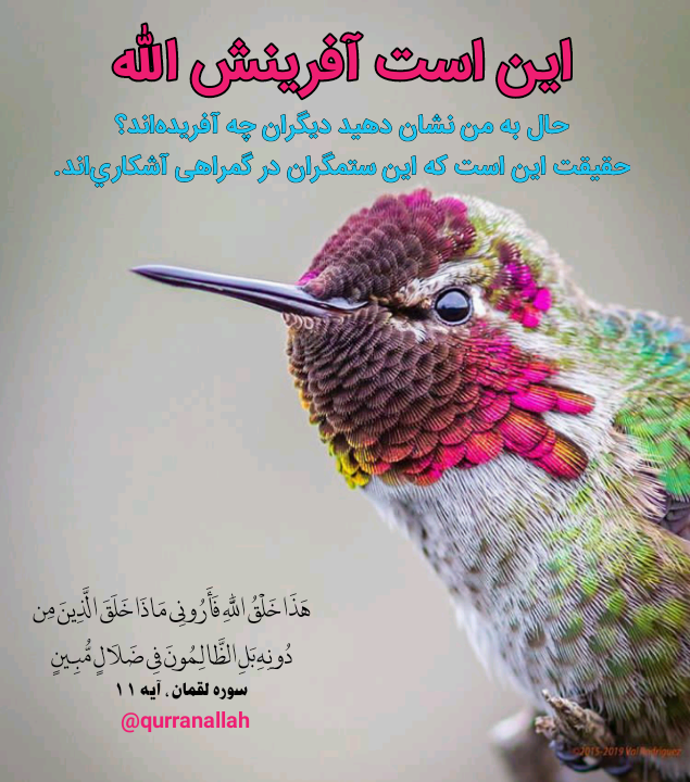 عکس نوشته صبر و تحمل - تــــــــوپ تـــــــــاپ عکس نوشته صبر و تحمل - تــــــــوپ تـــــــــاپ