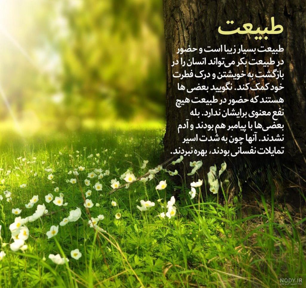 عکس پروفایل گل و طبیعت 2023 | عکس گل برای پروفایل واتساپ | عکس گل زیبا برای  پروفایل | عکس گل طبیعی