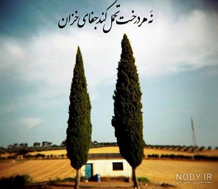 ۵۳ متن درباره صبر و تحمل | خدایا صبرم ده