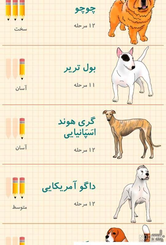 عکس سگ ژرمن نقاشی