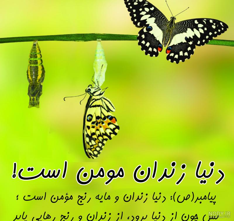 عکس پروفایل مسافر کربلا داشتن - عکس نودی