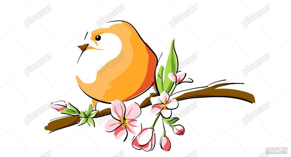 آموزش کشیدن نقاشی گنجشک به شیوه مرحله به مرحله - کودکان