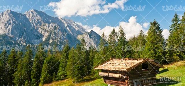 تابلوفرش ماشینی منظره کلبه جنگلی | بسیار ظریف و زیبا و قابل شستشو | طرح  دستباف | قیمت عالی