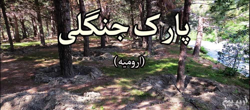 جدال در کلبه وحشت - همشهری آنلاین