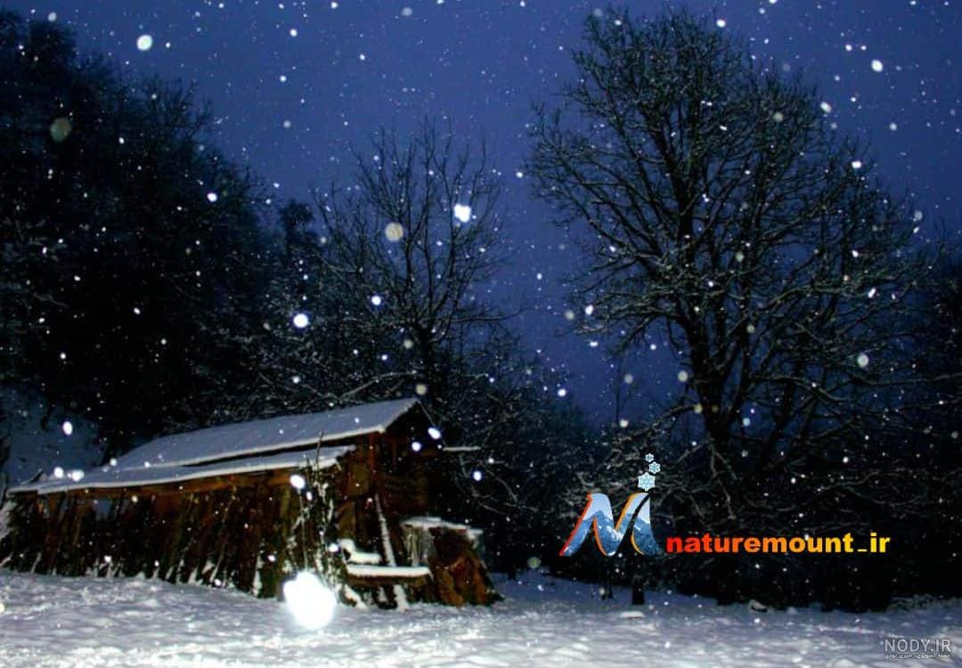 جنگل،زمستان - عکس ویسگون جنگل،زمستان - عکس ویسگون