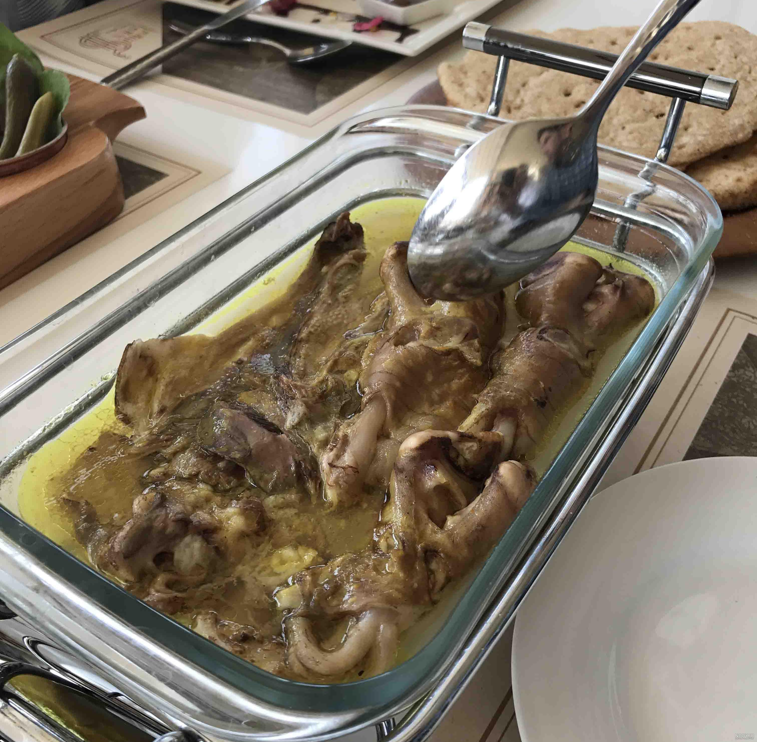 شاندیز