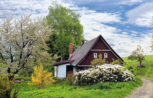 عکس های دیدنی از زیباترین کلبه های جنگلی