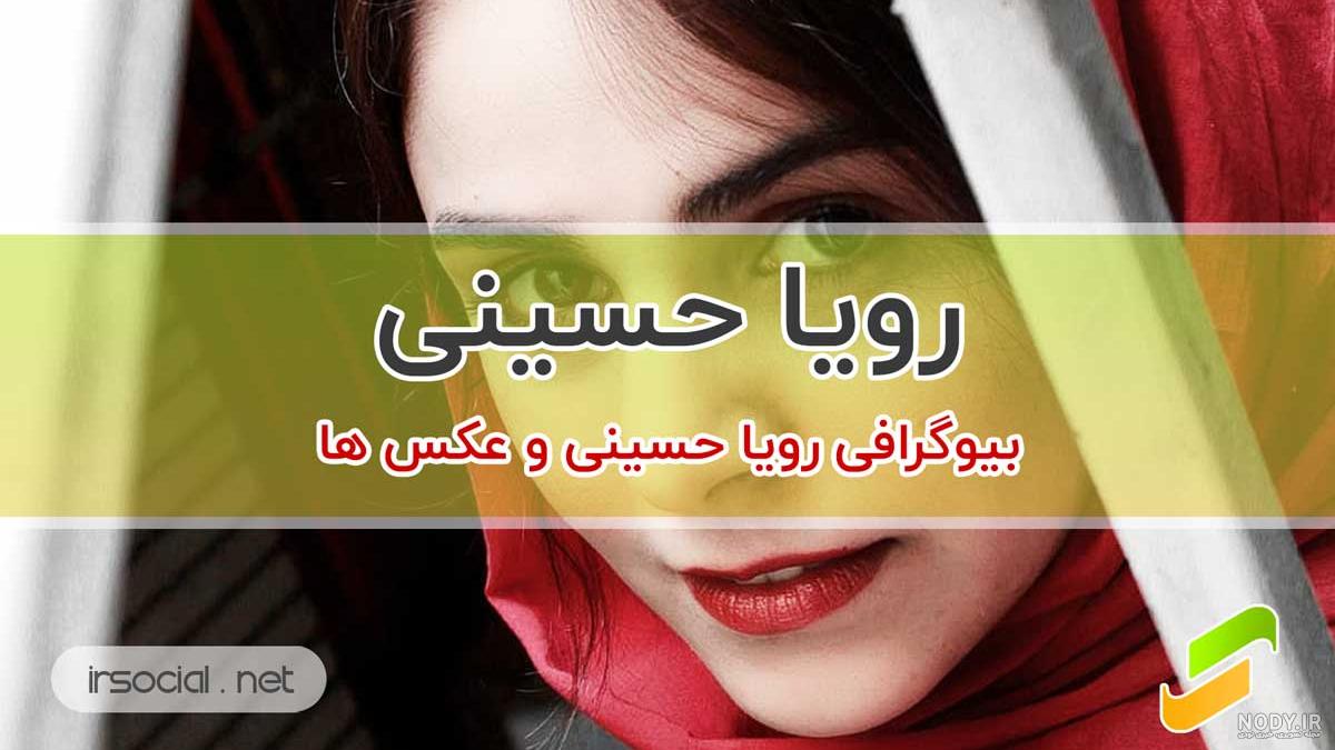 عکس میجان در کلبه ای در مه