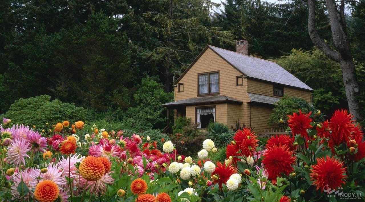 عکس هایی از کلبه های چوبی در طبیعت