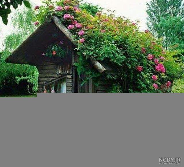 عکس های کلبه جنگل / بهترین تصاویر کلبه جنگل [پیشنهادی] | تاوعکس