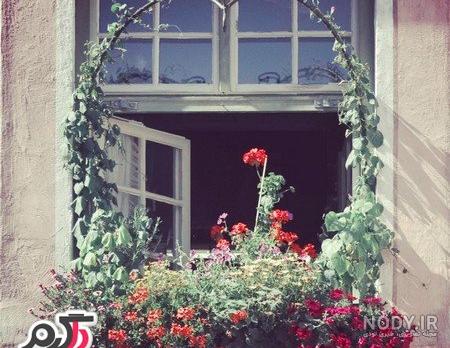عکس کلبه چوبی برای پروفایل - عکس نودی عکس کلبه چوبی برای پروفایل - عکس نودی