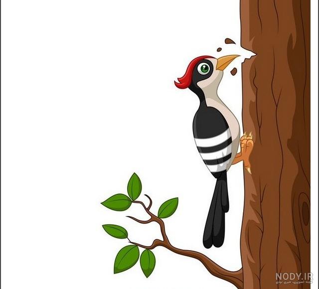 نقاشی ساده ی شانه